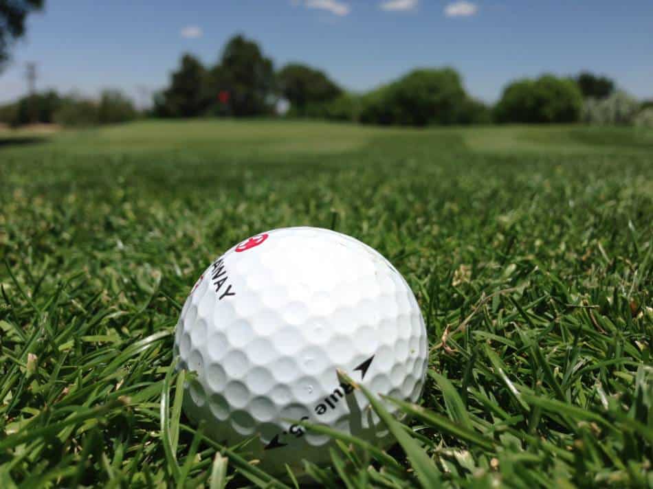 White golf ball sits in a patch of grass.