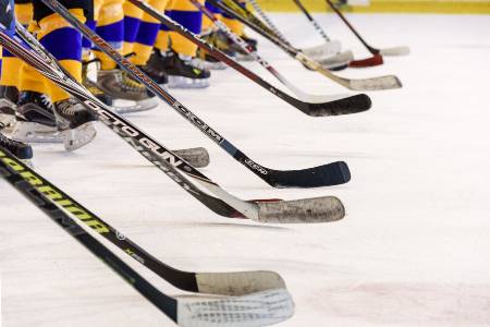 Hockey players line up for the National Anthem.