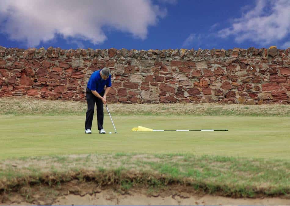 A golfer takes a practice putt on the green.