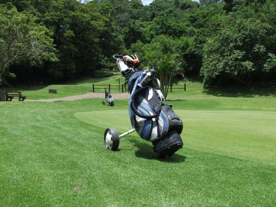 Two sets of golf clubs by a green.