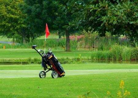 A golf bag sitting next to a green.