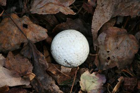 A golf ball with mud on it sitting in leaves.